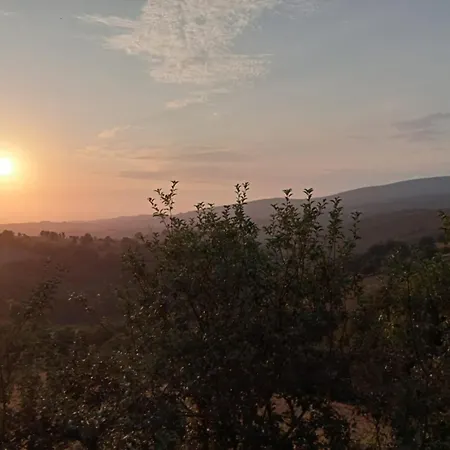 Appartement Casa Arza *